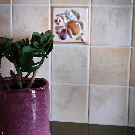 Doppelreiter Appartement *